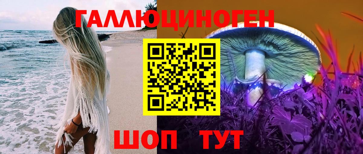 Малгобек  где купить наркоту  Галлюциногенные грибы Cubensis  Вход с VPN  Псилоцибиновые грибы MAGIC MUSHROOMS 