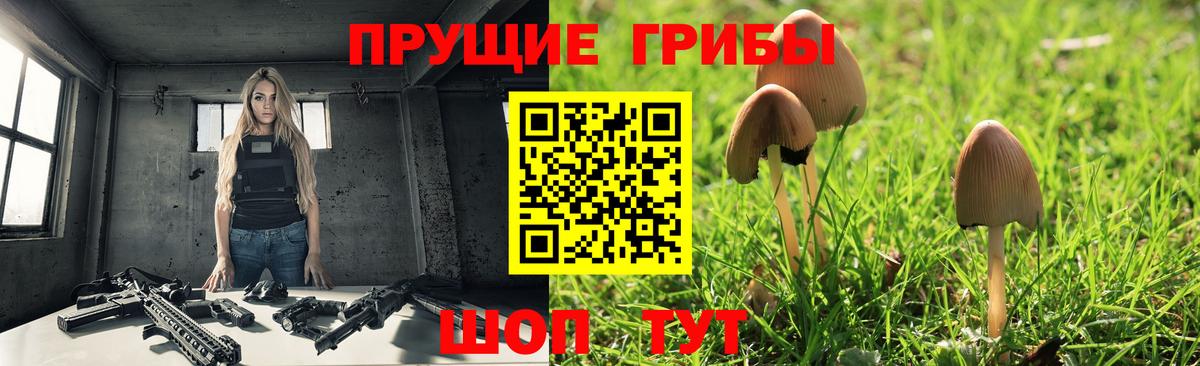 A PVP Малгобек
